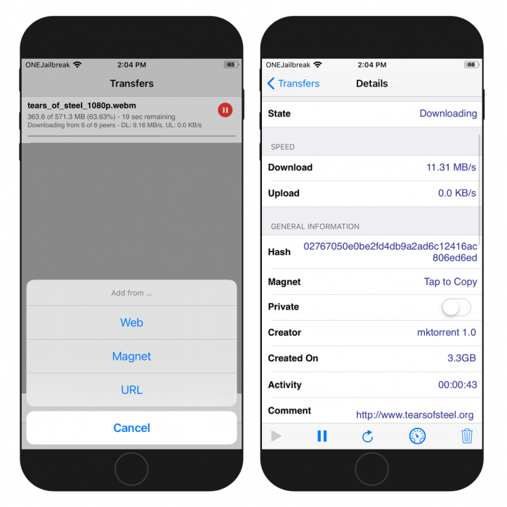 Two iPhone screens showing the iTransmission app interface on iOS 14.
