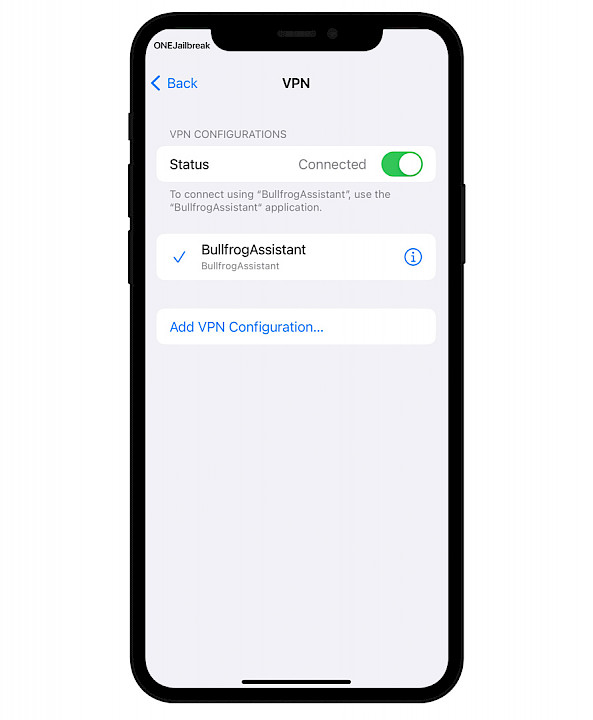 BullfrogAssistant VPN server.