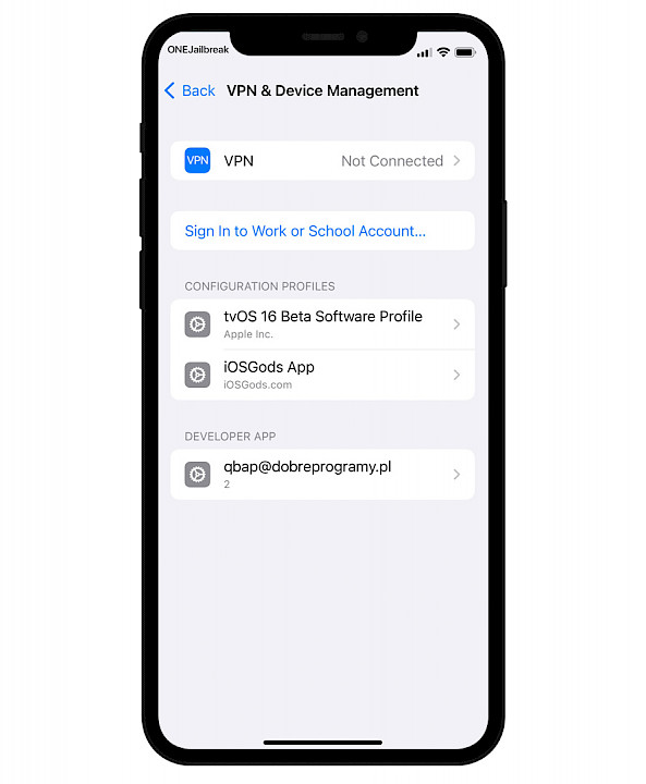 VPN & Device Managment screemshot.