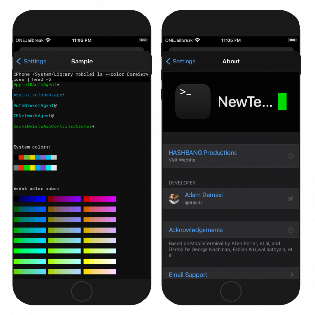 Two iPhone screens showing NewTerm terminal app sample and about pages.