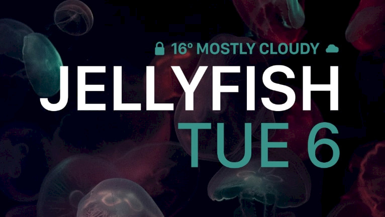 Promotion image of Jellyfish article.