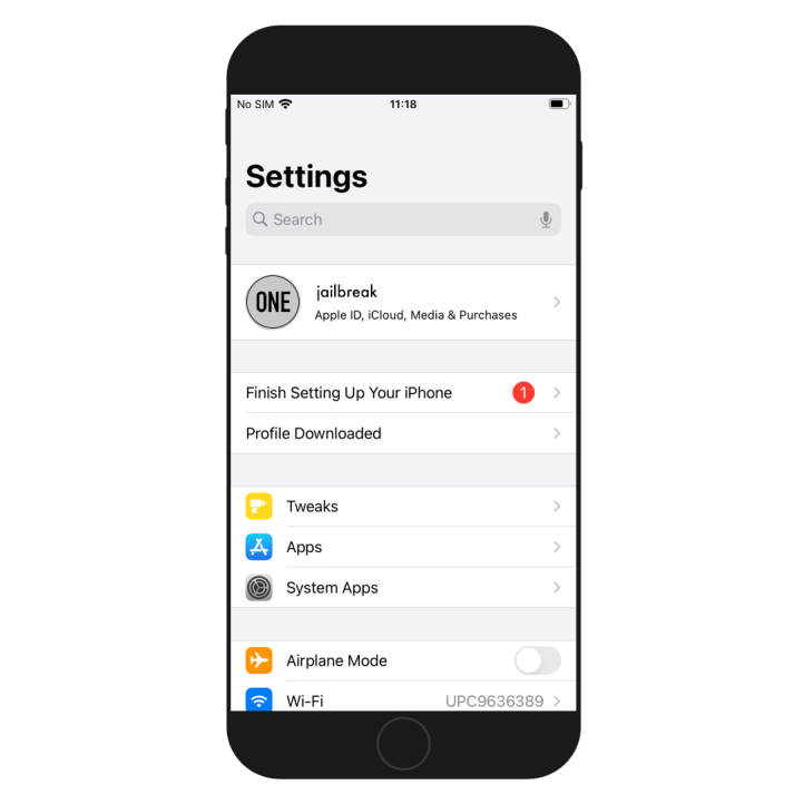 Profile Downloaded section in Settings app screenshot