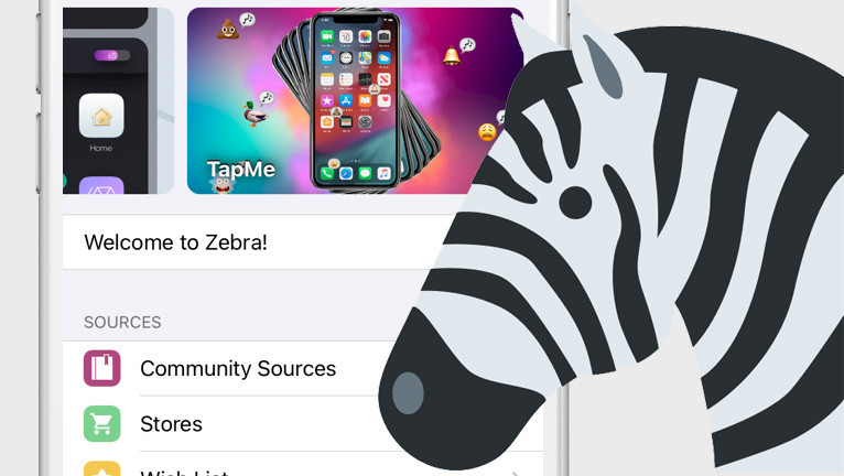 Promotion image of Zebra article.