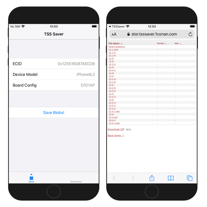 TSS Saver screenshot