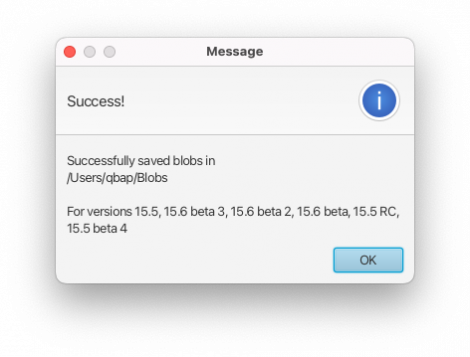 Screenshot of Bloobsaver's successful saved blobs message.