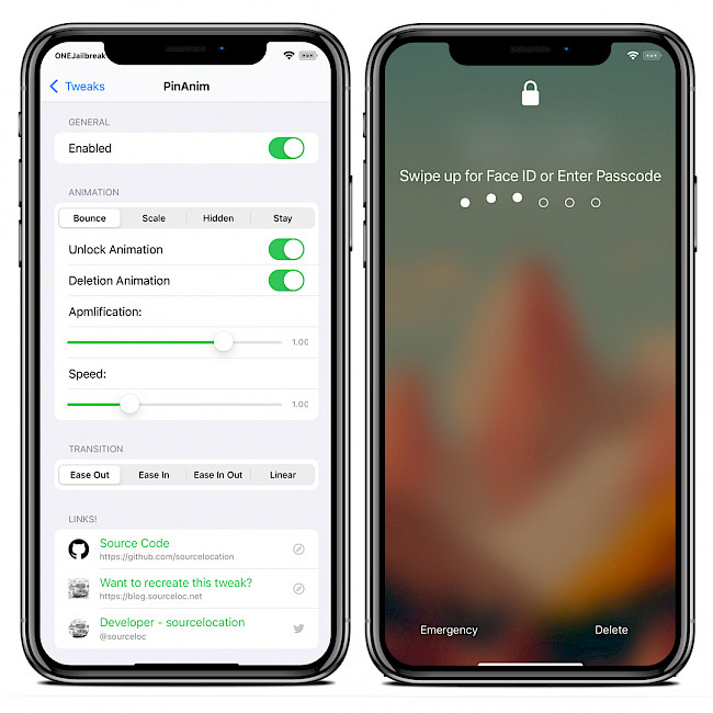 Two iPhone screens showing the PinAnim tweak preference pane located in the Settings app.