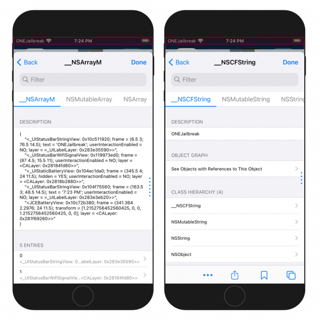 Screenshot of FLEXall tweak and FLEX loader to debugging iOS 15.