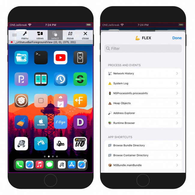 Two iPhone screens showing FLEXall tweak interface and FLEX app interface running on iOS.