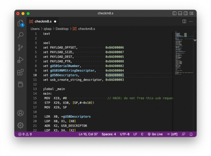 Screenshot of VLS with loaded checkm8 source code for arm64 devices.
