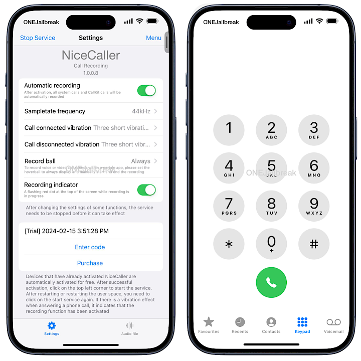 Two iPhone screens showing the NiceCaller for TrollStore app interface.