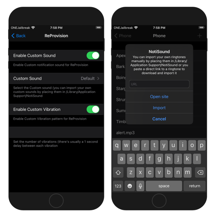 Two iPhone screens showing the NotiSound tweak per-app configuration options.