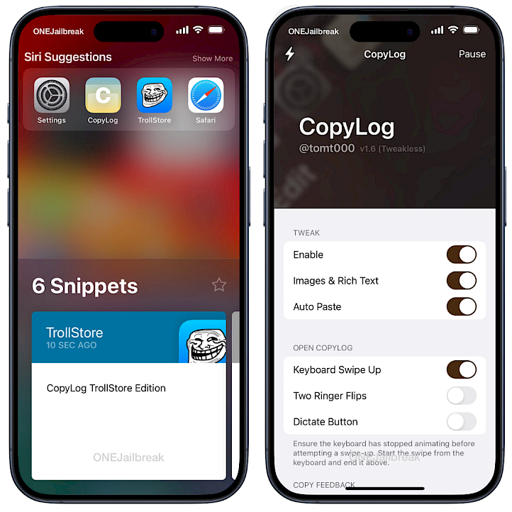 CopyLog TrollStore Edition screenshot.