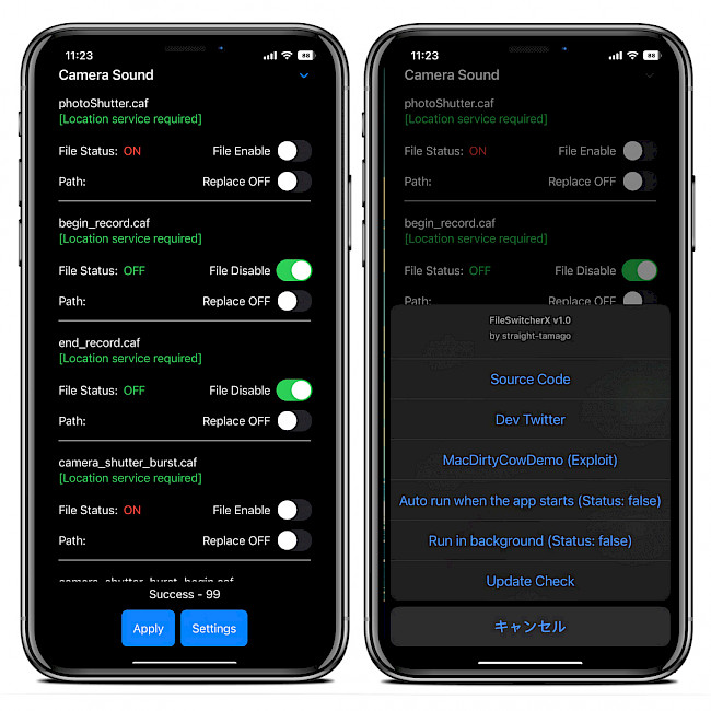 Two iPhone screens showing settings available in the FileSwitcherX application.