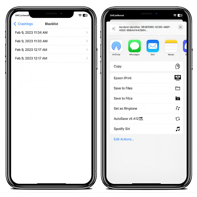 Two iPhone screens showing crash log files and share options in KrashKop app.