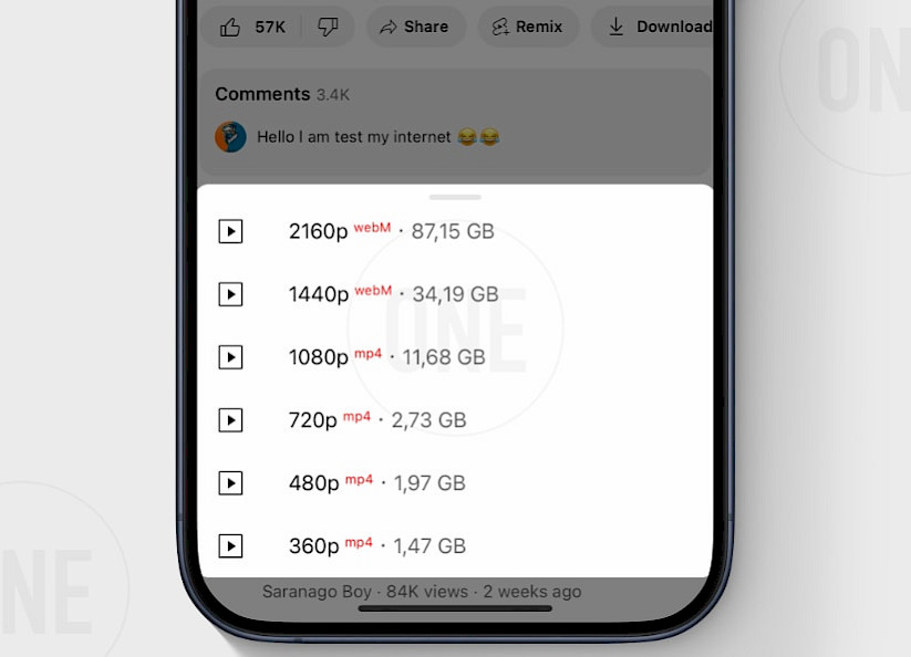 YouTube Plus Download Manager.