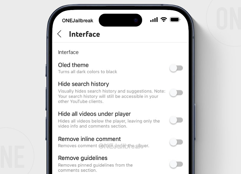 YouTube Plus Interface Configuration.