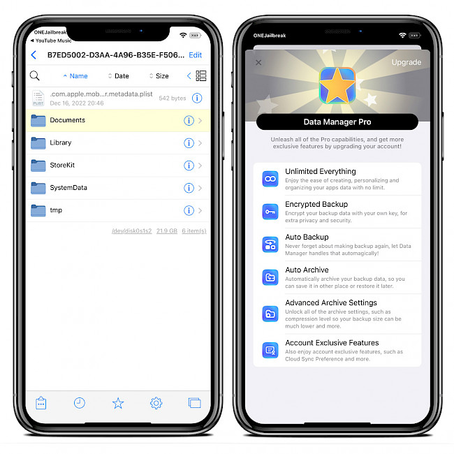 Two iPhone screens showing Data Manager Pro features.
