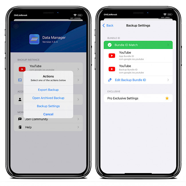 Two iPhone screens showing Data Manager tweak preferences.