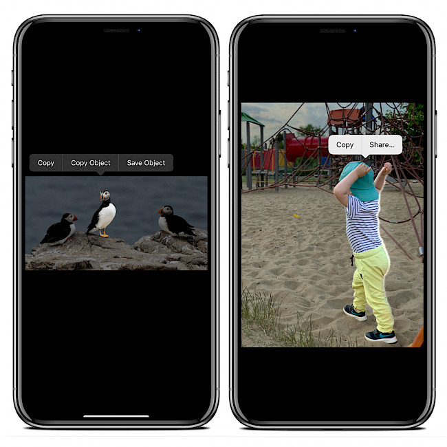 Two iPhone screens showing ENA tweak object extract in Photo app.