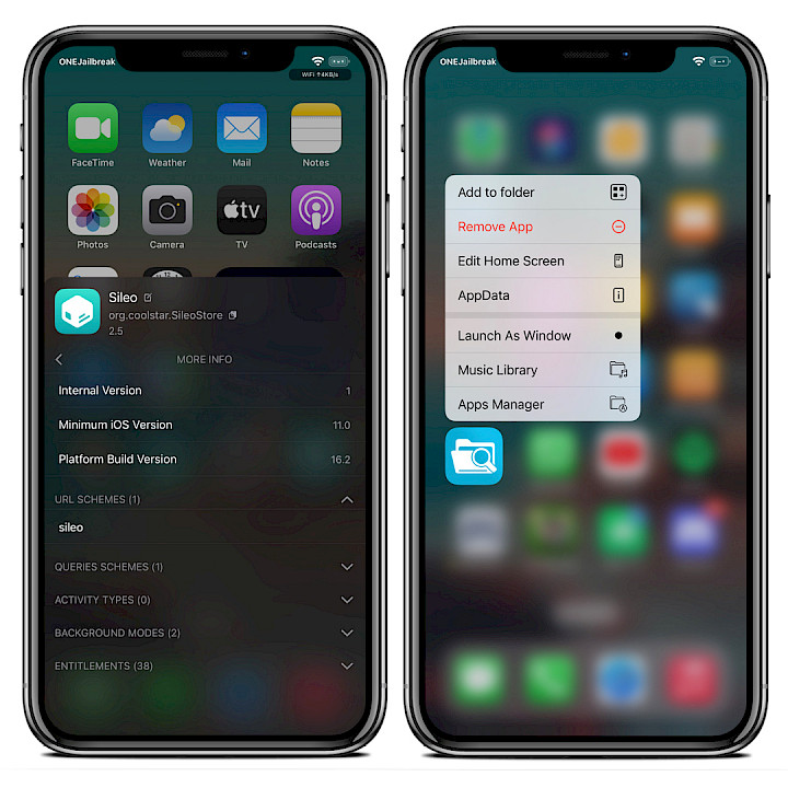 Two iPhone screens showing AppData tweak on Home Screen.