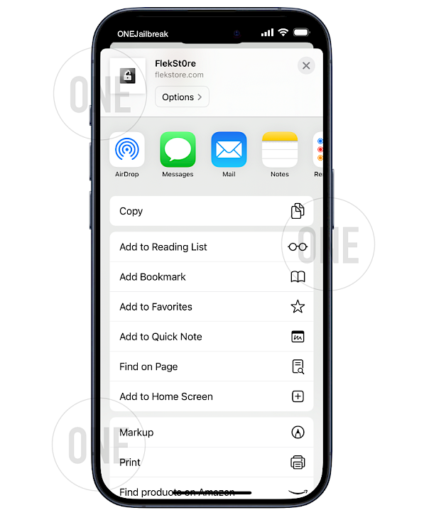 Install FlekStore Web Clip