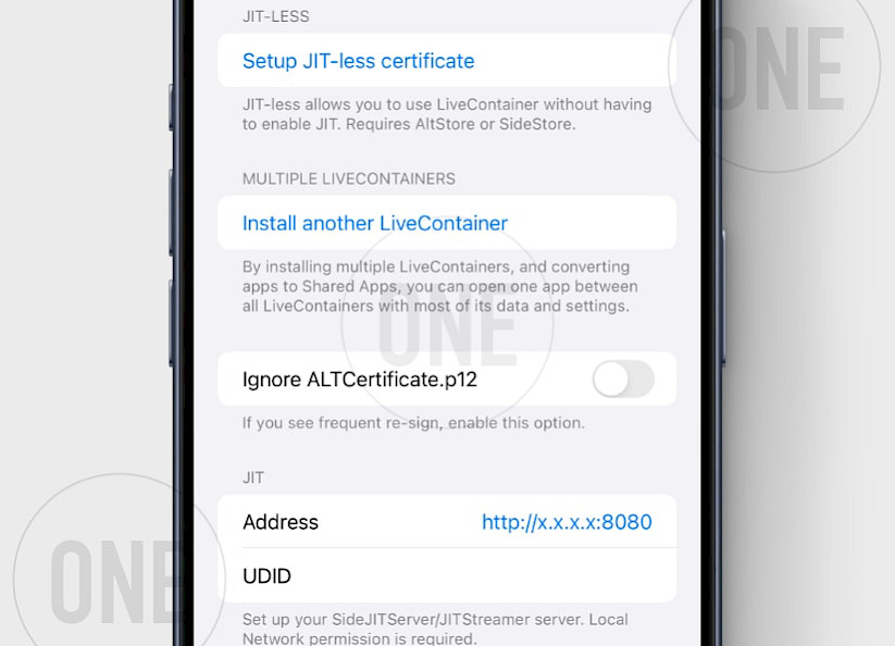 LiveContainer Settings.
