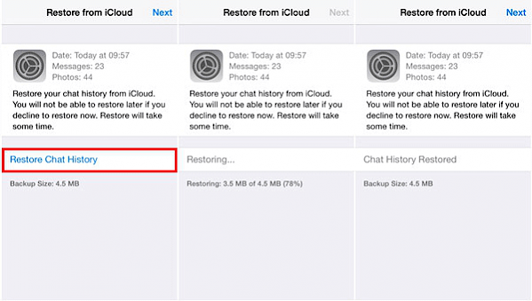 Restore from iCloud screenshot.