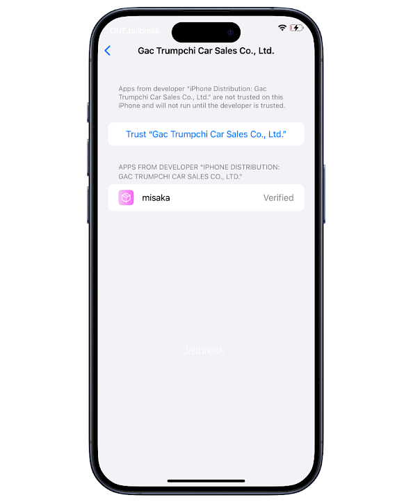 Trust developer profile on iOS.