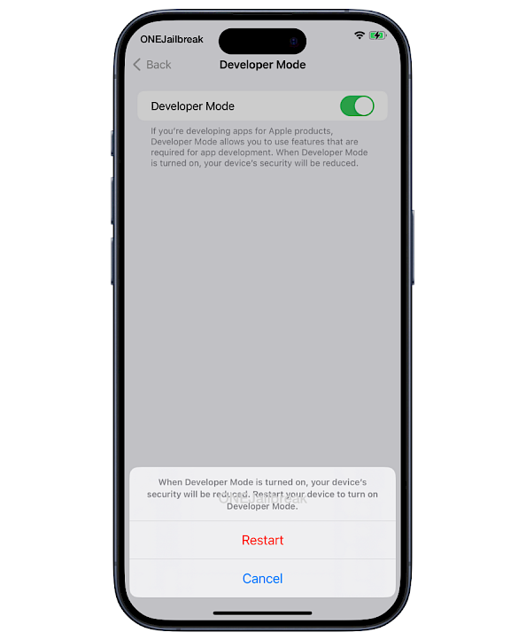 Restart pprompt to enable Develoepr Mode on iPhone.