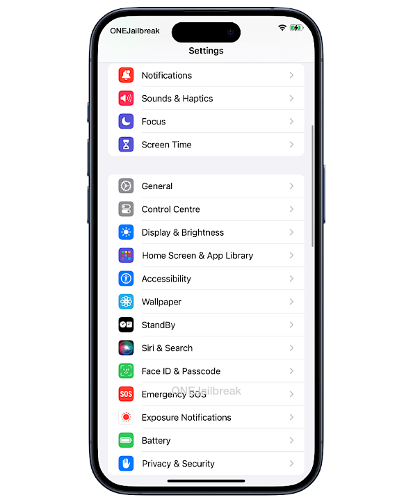 iOS Privacy & Security section in Settings app.
