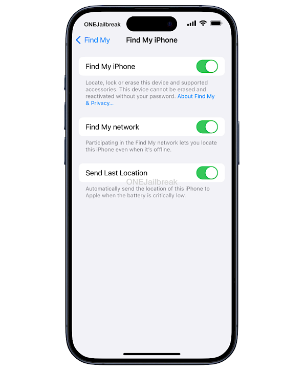 Find My iPhone preference pane in Settings app on iOS.