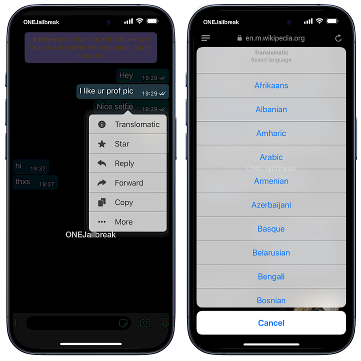 Translomatic tweak screenshot.
