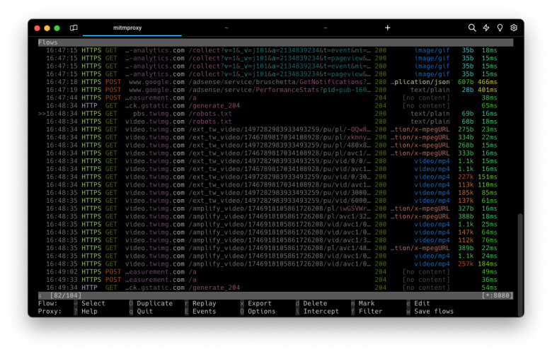mitmproxy screenshot.