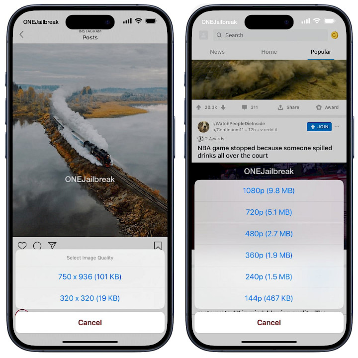 Two iPhone screens shwoing DLEAsy downlaod features.
