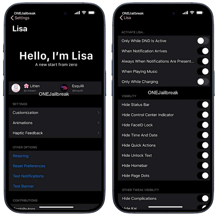 Screenshot of Lisa tweak preference pane.