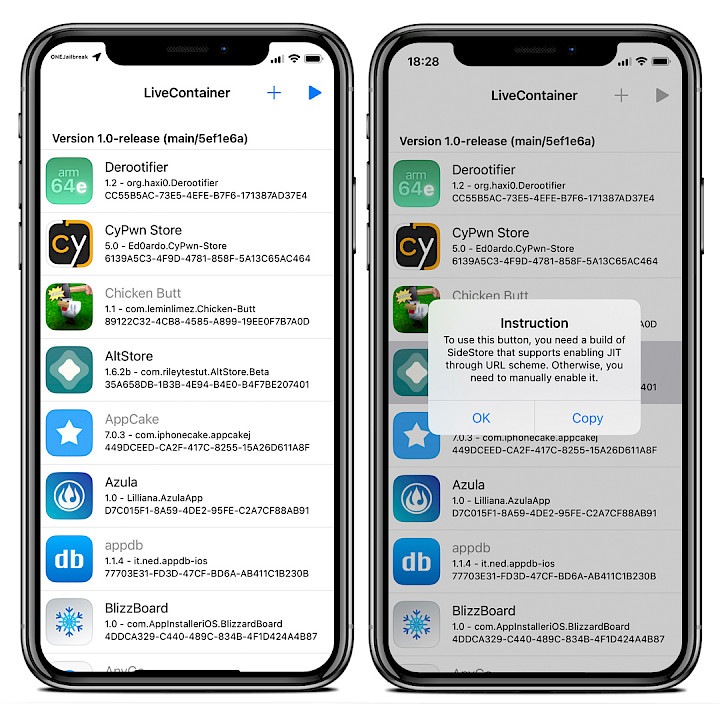 Screenshot of LiveContainer.
