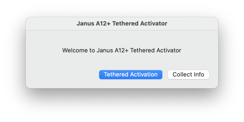 Janus A12+. iCloud bypass for A12+ without signal.