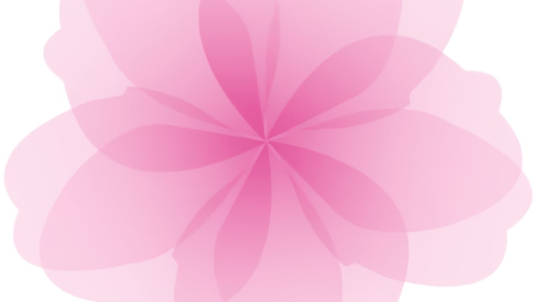 Promotion image of Blossom article.