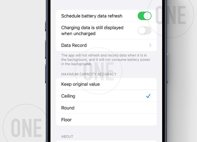 BatteryInfo for TrollStore Settings