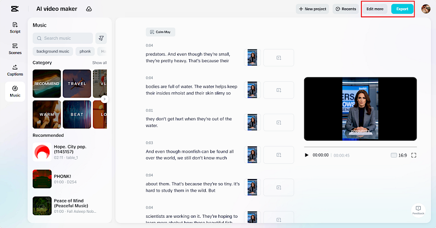 Preview Your Countdown or Go Deeper Into Editing